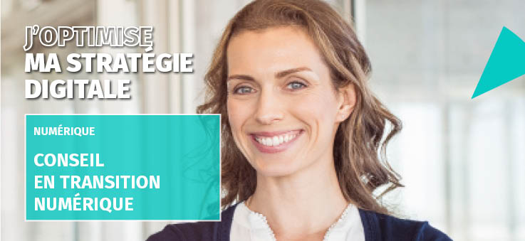 Conseil en transition numérique
