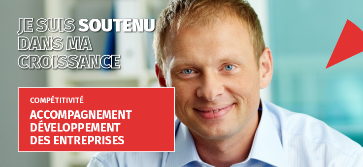 Accompagnement développement des entreprises