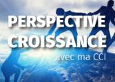 Perspective croissance avec ma CCI