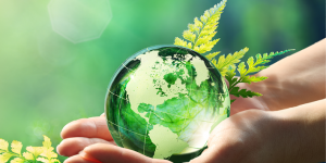 Parcours individuel pour une ambition responsable et durable