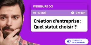 web-quel-statut-choisir-10-05